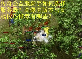 传奇公益服新手如何选择服务器？高爆率版本与实战技巧推荐有哪些？