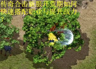 传奇合击新服开荒期如何快速搭配职业与提升战力？