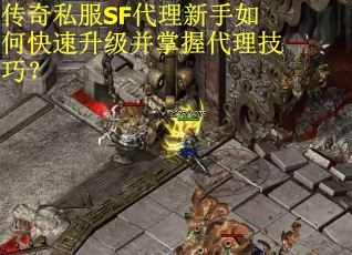 传奇私服SF代理新手如何快速升级并掌握代理技巧？