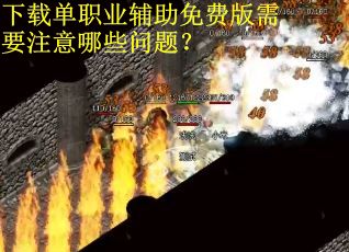 下载单职业辅助免费版需要注意哪些问题? 下载单职业辅助免费版需要注意哪些问题?
