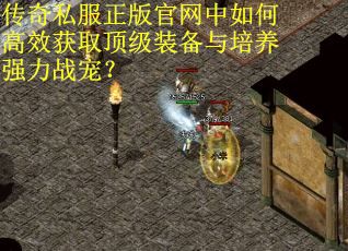 传奇私服正版官网中如何高效获取顶级装备与培养强力战宠？