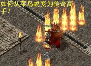 如何从菜鸟蜕变为传奇高手？