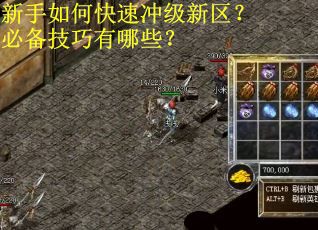 新手如何快速冲级新区？必备技巧有哪些？