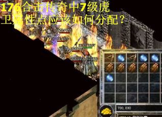 176合击传奇中7级虎卫属性点应该如何分配? 176合击传奇中7级虎卫属性点应该如何分配?