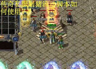传奇私服屠猪流动脚本如何使用？