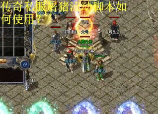 传奇私服屠猪流动脚本如何使用？