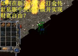 如何在新开单职业打金传世私服中快速升级并实现财富自由？