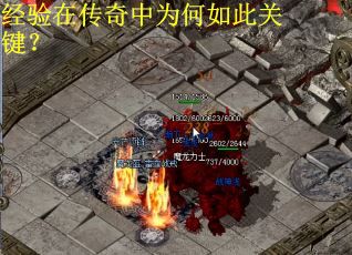 经验在传奇中为何如此关键？