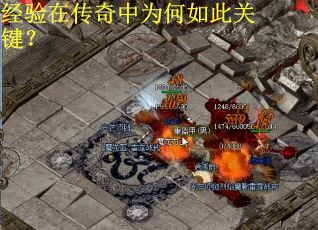 经验在传奇中为何如此关键？