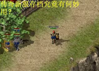 传奇新服存档究竟有何妙用？