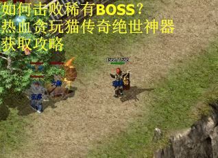 如何击败稀有BOSS?热血贪玩猫传奇绝世神器获取攻略 如何击败稀有BOSS?热血贪玩猫传奇绝世神器获取攻略