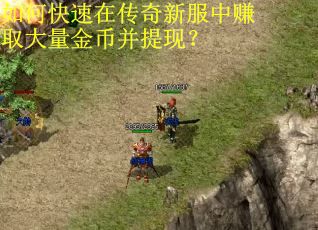 如何快速在传奇新服中赚取大量金币并提现? 如何快速在传奇新服中赚取大量金币并提现?