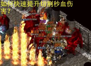如何快速提升切割秒血伤害？