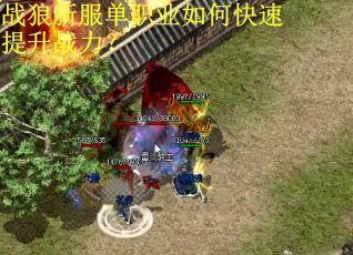 战狼新服单职业如何快速提升战力？
