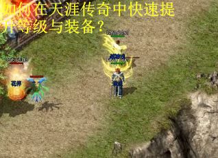 如何在天涯传奇中快速提升等级与装备？