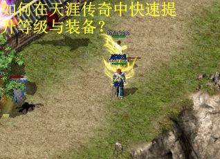 如何在天涯传奇中快速提升等级与装备？