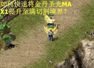 如何快速将金丹圣光MAX1提升至满切割境界？
