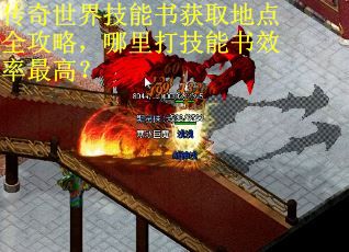 传奇世界技能书获取地点全攻略，哪里打技能书效率最高？
