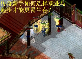 传奇新手如何选择职业与起步才能更易生存？